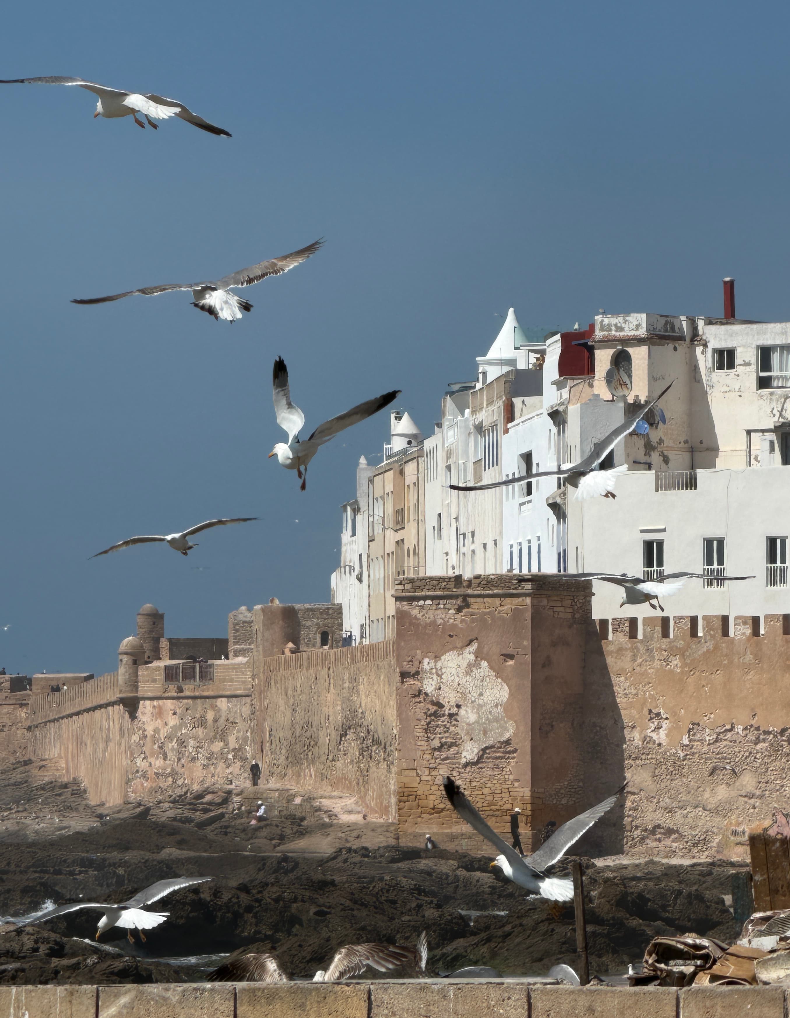 Port d'Essaouira